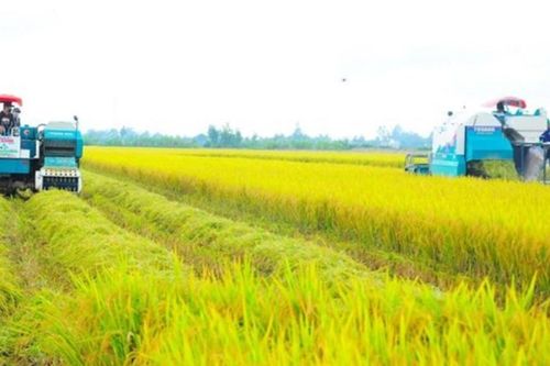 Nông sản Việt tăng tốc 'xanh hóa' để giữ thị trường xuất khẩu