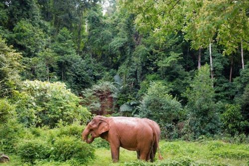 Campuchia được báo Mỹ vinh danh về môi trường tự nhiên năm 2026