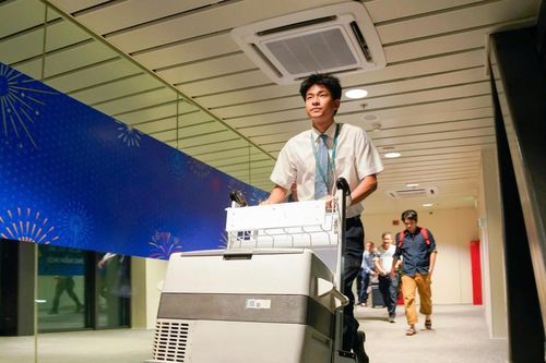 Vượt áp lực thời gian, viết tiếp sự sống cho bệnh nhi 15 tuổi mắc suy tim giai đoạn cuối