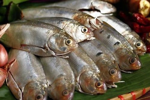 Mẹo kho cá mòi ngon chuẩn vị, bổ sung canxi và omega-3 tự nhiên
