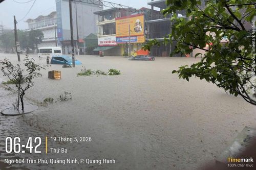 Cảnh nước lũ 'nuốt chửng' đường phố, ôtô ngập gần tới nóc ở Quảng Ninh