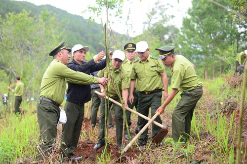 Lâm Đồng: Trồng mới 1.000 cây xanh tại Khu du lịch quốc gia hồ Tuyền Lâm