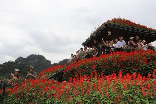 Những 'mùa hoa di sản' trên đất cố đô