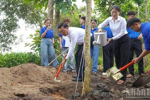 Đồng Tháp phát động trồng cây 'Đời đời nhớ ơn Bác Hồ'