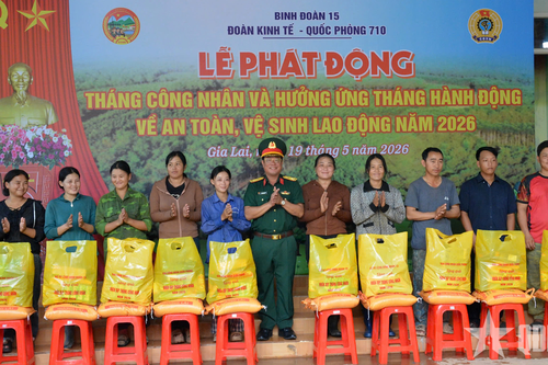 Đoàn Kinh tế - Quốc phòng 710 (Binh đoàn 15): Chăm lo nguồn lực phát triển bền vững của đơn vị
