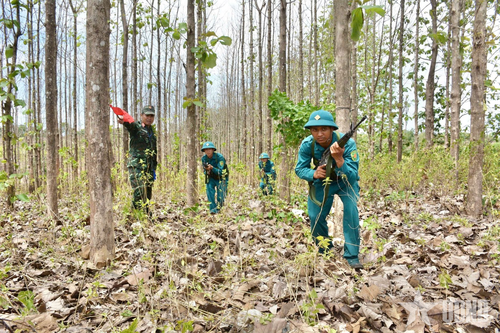 Ban CHQS xã Ea M'droh (Đắk Lắk): Thi đua luyện giỏi, rèn nghiêm, mừng ngày sinh nhật Bác