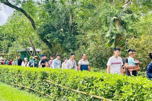 Về Kim Liên trong ngày tháng Năm – triệu trái tim hướng về Bác Hồ