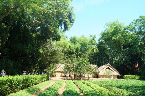 Dấu ấn quê Bác từ sản vật và ký ức văn hóa