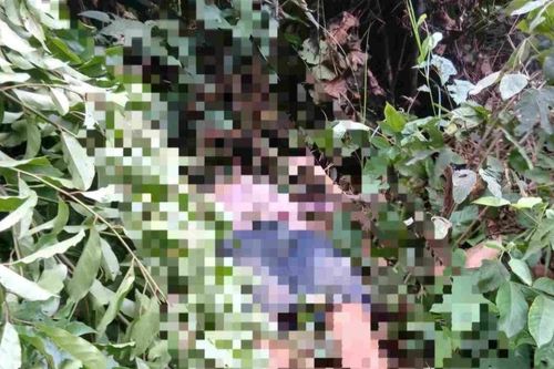 Người đàn ông tử vong dưới đường dây điện khi đi bẫy chim