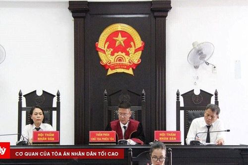 Bị bác ở cấp sơ thẩm, được chấp nhận ở cấp phúc thẩm: Sửa hay hủy án sơ thẩm?