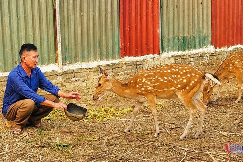 Đẩy mạnh truyền thông giảm nghèo thông tin gắn với hỗ trợ phát triển sản xuất