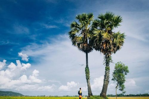 Những yếu tố nào sẽ đưa du lịch 'vươn mình' thành ngành kinh tế mũi nhọn?
