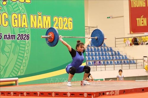 Gần 200 vận động viên tham dự giải Vô địch cử tạ các Câu lạc bộ quốc gia năm 2026