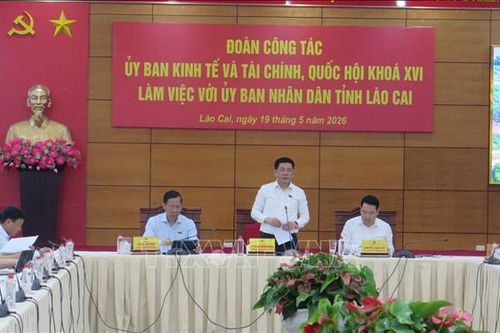 Đoàn công tác Ủy ban Kinh tế và Tài chính của Quốc hội làm việc tại Lào Cai