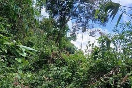 Một người đi bẫy chim tử vong nghi do bị điện giật