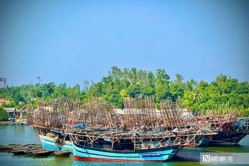 Tàu đầy ắp hải sản nhưng ngư dân Quảng Ngãi vẫn phải 'gửi nhờ' cảng ngoài tỉnh