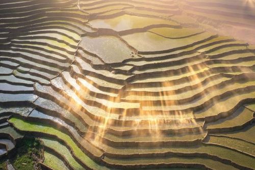 Giới nghệ sĩ thăng hoa tại Alphora Mường Hoa mùa nước đổ Sa Pa