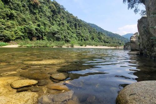 CHESH đề xuất loại bỏ vĩnh viễn dự án Thủy điện Giao An II