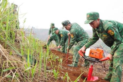 Bộ đội Cụ Hồ gieo mầm no ấm trên núi cao Điện Biên