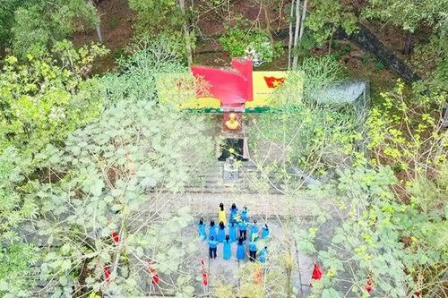 Tượng đài nơi rừng thông và những khúc ca đi cùng năm tháng