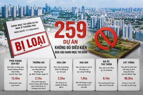Phúc Khang, Trường Hải, Hoa Lâm, Hoa Sen và loạt doanh nghiệp lớn có dự án bị loại khỏi danh mục thí điểm nhà ở thương mại