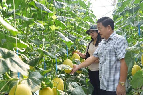 Đổi mới hoạt động hội nông dân