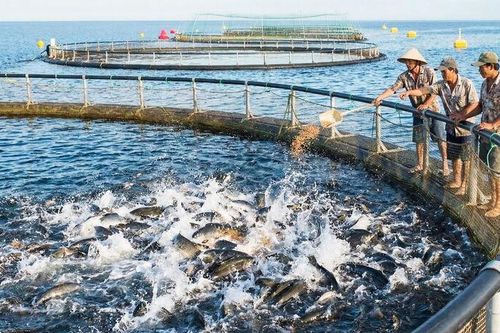 Để biển được khai thác bền vững