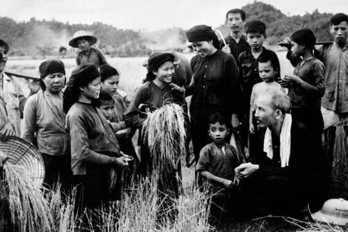 'Xin nguyện cùng Người vươn tới mãi'
