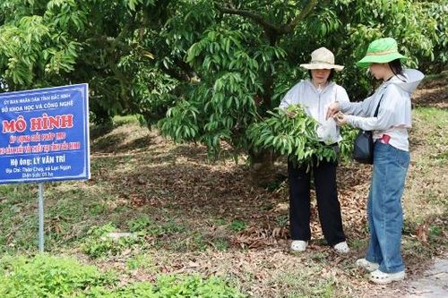 Bắc Ninh kiểm soát chất lượng nông sản từ gốc