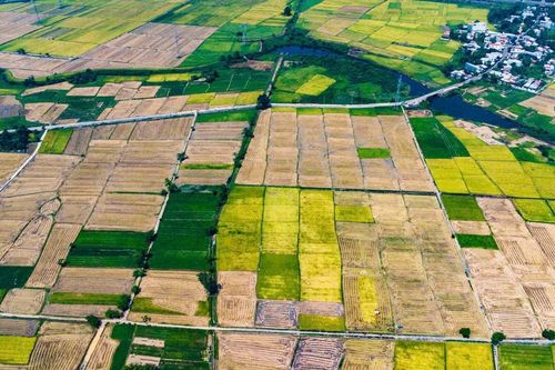 Những 'ngôi sao' khu vực kinh tế tập thể