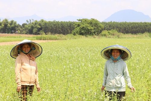 Khẳng định chất lượng nông sản từ quy trình hữu cơ