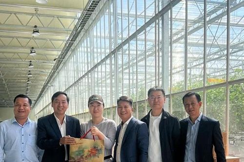 Hiệu quả đưa người lao động đi làm việc ở nước ngoài