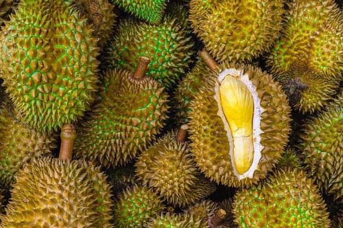 Giá sầu riêng hôm nay 19/5/2026: Xuất khẩu quý I tăng 230%