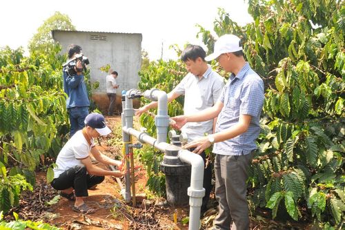 Giữ màu xanh qua mùa nắng hạn