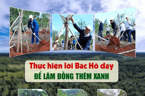 Thực hiện lời Bác Hồ dạy để Lâm Đồng thêm xanh