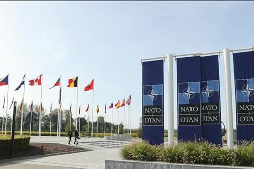 NATO họp khẩn tại Brussels trước rủi ro cạn kiệt kho vũ khí chiến lược và đạn dược