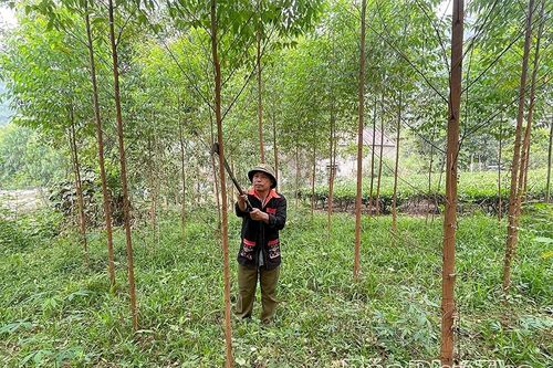 Người được dân tín, dân tin