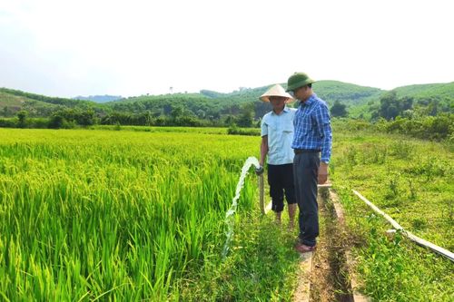 Nỗ lực phục vụ người dân tốt hơn
