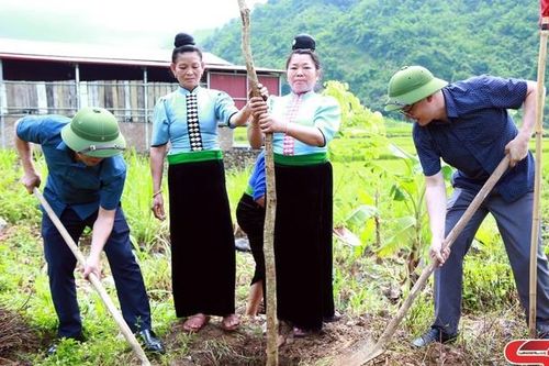 Mường La tổ chức phát động Lễ trồng cây 'Đời đời nhớ ơn Bác Hồ'