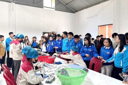 Khơi dậy khát vọng vươn lên