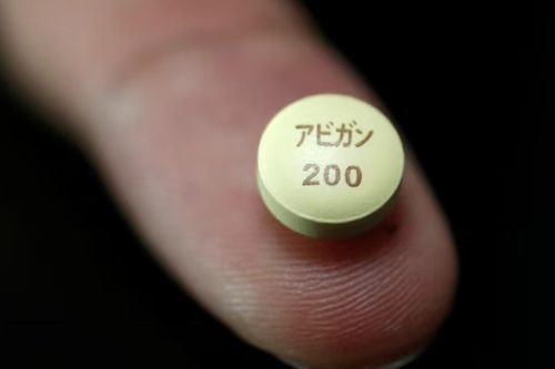 Nhật Bản xuất thuốc kháng virus từ kho dự trữ, hỗ trợ Anh ngăn virus hanta lan rộng