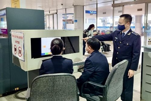 Chuyển Hải quan Tân Sơn Nhất về Chi cục Hải quan khu vực XV quản lý