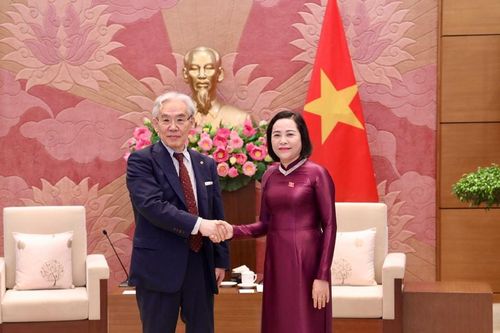 Phó Chủ tịch Quốc hội Nguyễn Thị Thanh tiếp Chủ tịch Tập đoàn Tokushukai Nhật Bản