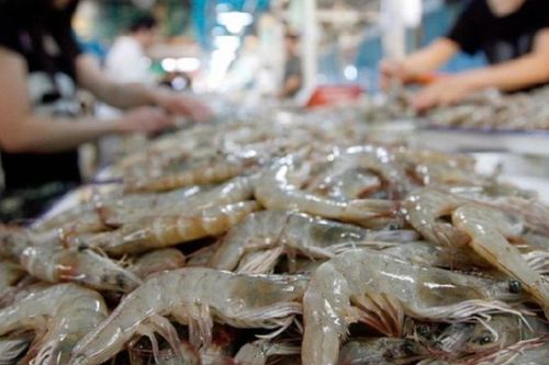 Mỹ kết luận sơ bộ chống bán phá giá tôm, doanh nghiệp Việt cần lưu ý gì?