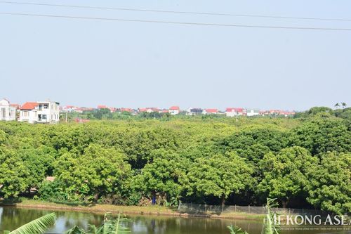 Hoàn thành cơ sở dữ liệu quốc gia về đất đai trong năm 2026