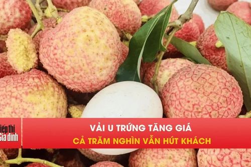Vải u trứng đầu mùa giá cao ngất vẫn cháy hàng