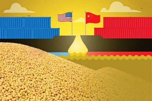 Trung Quốc có thể tăng mua nông sản Hoa Kỳ nhưng dư địa chủ yếu nằm ngoài đậu tương