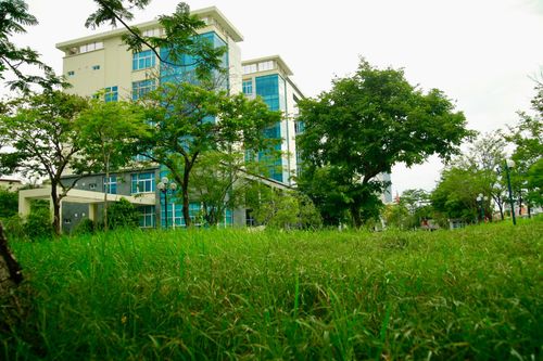 Bên trong khu nhà đất gần 20.000 m² bỏ hoang chuẩn bị làm trụ sở UBND TP Huế