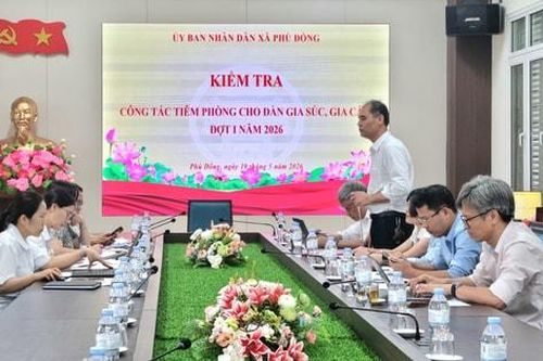 Xã Phù Đổng cần sớm hoàn thành công tác tiêm phòng dại chó, mèo