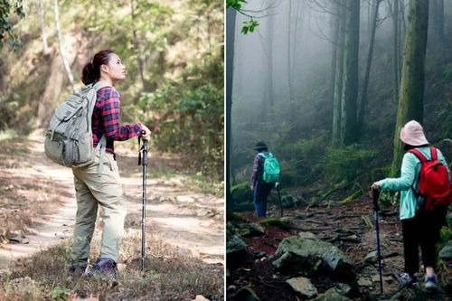 Vì sao một số người dễ 'bị dọa' khi đi rừng hoặc leo núi, có phải do 'yếu bóng vía'?